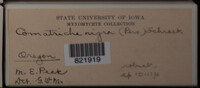 Image Associated With the Occurence